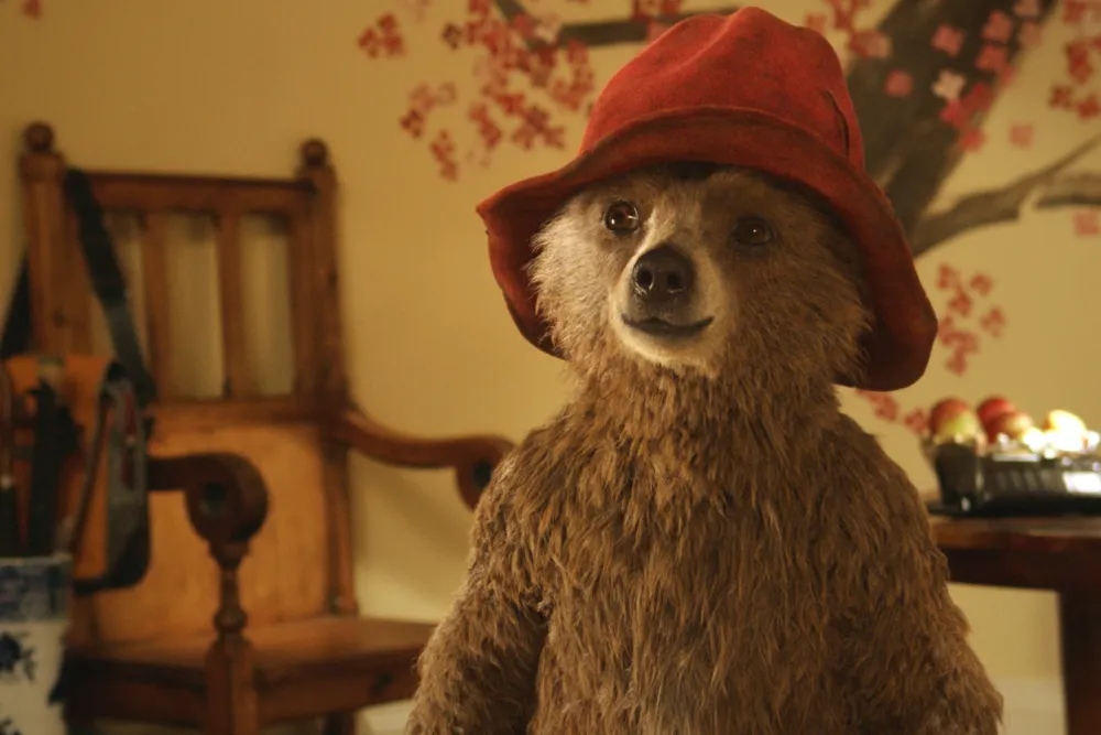 Paddington Bear's Musical Debut: From Pages to Performance